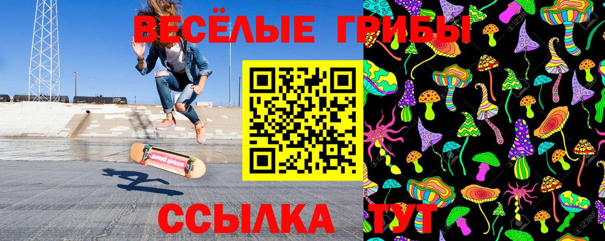 Галлюциногенные грибы прущие грибы Видное